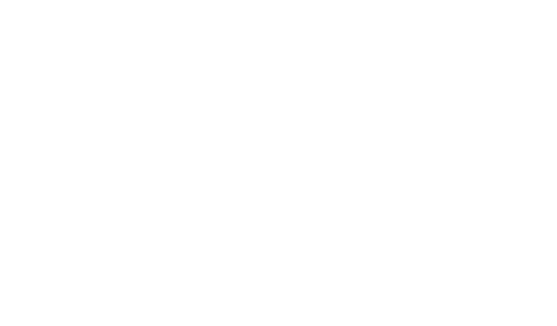 Fortune Rabbit